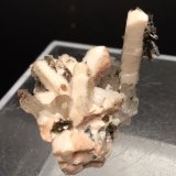 Ortoclasa, Cuarzo, Epidota
32 x 30 mm
(Autor: Sante Celiberti)