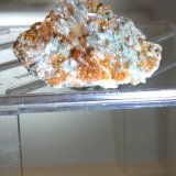 Grossularia (variedad hessonita), Diopsido
38 x 25 mm
(Autor: Sante Celiberti)