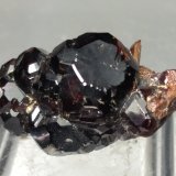 Grossularia (variedad hessonita)
26 x 14 mm
(Autor: Sante Celiberti)