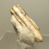 Sillimanita
50 x 40 mm
(Autor: Sante Celiberti)