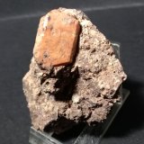 Ortoclasa
78 x 58 mm
(Autor: Sante Celiberti)