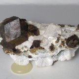 Magnetita
65 x 37 mm
(Autor: Sante Celiberti)