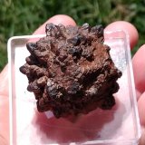 Goethita
3,9 x 3,7 x 3,7, cm
(Autor: Anisio Claudio)