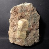 Titanita, Grossularia
122 x 92 mm
(Autor: Sante Celiberti)