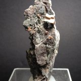Perovskita, Magnetita
96 x 50 mm
(Autor: Sante Celiberti)