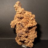Siderita
260 x 140 mm
(Autor: Sante Celiberti)