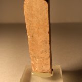 Ortoclasa
60 x 17 mm
(Autor: Sante Celiberti)
