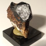 Chorlo
46 x 46 mm
(Autor: Sante Celiberti)