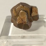 Pirita
19 x 16 mm
(Autor: Sante Celiberti)