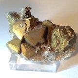 Pirita
51 x 32 mm
(Autor: Sante Celiberti)