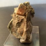 Perovskita, Clinochloro
53 x 44 mm
(Autor: Sante Celiberti)