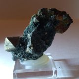 Pirita, Chlorita (Grupo)
53 x 40 mm
(Autor: Sante Celiberti)
