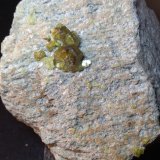 Epidota
81 x 72 mm
(Autor: Sante Celiberti)