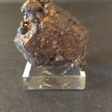 Goethita (pseudomórfica de pirita)
46 x 43 mm
(Autor: Sante Celiberti)