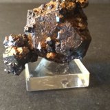 Goethita (pseudomórfica de pirita)
46 x 43 mm
(Autor: Sante Celiberti)