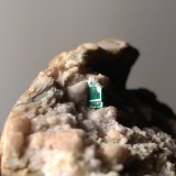 Torbernita
65 x 46 mm
(Autor: Sante Celiberti)