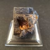 Galena, Cerusita
30 x 28 mm
(Autor: Sante Celiberti)