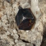 Albita (variedad periclino), Pirita
68 x 63 mm
(Autor: Sante Celiberti)