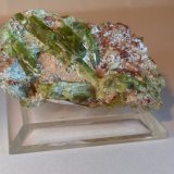 Epidota, Grossularia
48 x 31 mm
(Autor: Sante Celiberti)