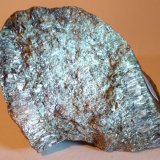 Antofilita
66 x 50 mm
(Autor: Sante Celiberti)
