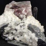 Fuorita y Galena
Cristal fluorita 7.2 cm
(Autor: Cesar M. Salvan)