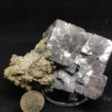 Galena
8 cm
(Autor: Cesar M. Salvan)
