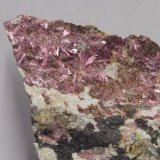 Eritrina [Erythrite]
10x7 cm
(Autor: panchito28)