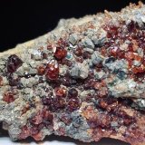 Grossularia [Grossular] (variedad hessonita) y Clinocloro [Clinochlore]
6 x 3 cm.
(Autor: Felipe Abolafia)