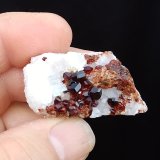 Uvita
4 x 2,4 x 2 cm
(Autor: Anisio Claudio)