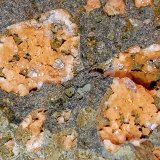 Analcima y gmelinita
7 x 5 cm.
(Autor: Felipe Abolafia)