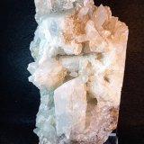 Celestina
18 x 9 cm.
(Autor: Felipe Abolafia)