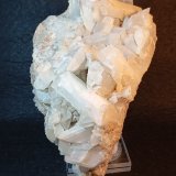 Celestina
9 x 13 cm.
(Autor: Felipe Abolafia)