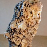 Prehnita
11 x 4 cm.
(Autor: Felipe Abolafia)