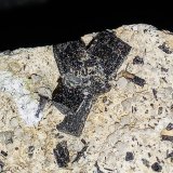 Ferro-hornblenda
7 x 5 x 5 cm.
(Autor: Felipe Abolafia)