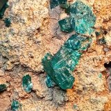 Dioptasa
6 x 5 cm.
(Autor: Felipe Abolafia)