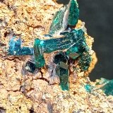Dioptasa
6 x 5 cm.
(Autor: Felipe Abolafia)