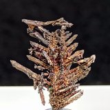 Plata
1,5 x 1 cm.
(Autor: Felipe Abolafia)