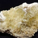 Yeso
16 cm
(Autor: Cesar M. Salvan)