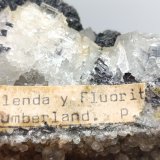 Esfalerita con Fluorita transparente.
12x9 cm
(Autor: AntonioJesus)