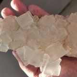 Halita
14 cm
(Autor: Cesar M. Salvan)