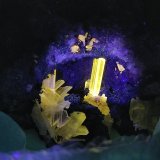 Cerusita
Cristal 2.3 cm
(Autor: Cesar M. Salvan)