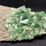 Fluorita
18 cm
(Autor: Cesar M. Salvan)