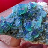Fluorita
16 cm
(Autor: Cesar M. Salvan)