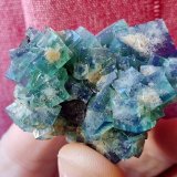 Fluorita
6 cm
(Autor: Cesar M. Salvan)