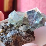 Fluorita
5 cm
(Autor: Cesar M. Salvan)