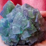 Fluorita
12 cm
(Autor: Cesar M. Salvan)