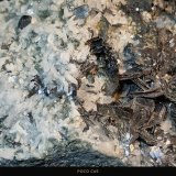 Hematites
4,5 x 9,5 cm.
(Autor: Felipe Abolafia)