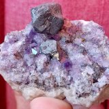 Galena y Fluorita
Cristal 1.7 cm
(Autor: Cesar M. Salvan)