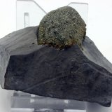 Pirita
7,0 x 3,6 cm.
(Autor: carles)