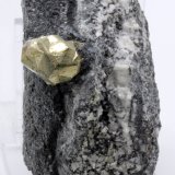 Pirita
3,7 x 6,5 cm.
(Autor: carles)